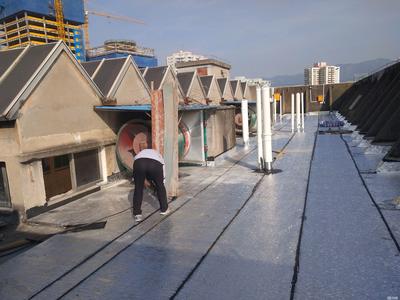 專業防水補漏解決方案 廚房漏水、墻面免砸磚檢測、陽臺與屋頂漏水精準定位服務