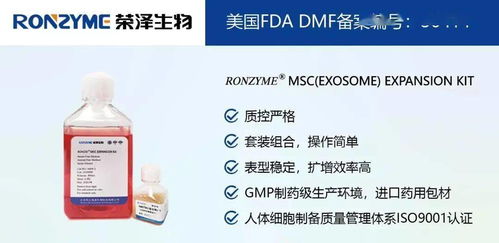 榮澤集團 市場調查成就斐然，穩健前行再譜新篇